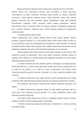 Rinkos organizacinės formos ir jų palyginimas 13 puslapis