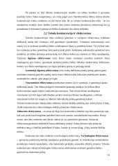 Rinkos organizacinės formos ir jų palyginimas 14 puslapis