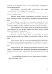 Rinkos organizacinės formos ir jų palyginimas 17 puslapis