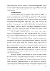 Rinkos organizacinės formos ir jų palyginimas 20 puslapis