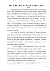 Rinkos organizacinės formos ir jų palyginimas 3 puslapis