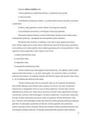 Rinkos organizacinės formos ir jų palyginimas 6 puslapis