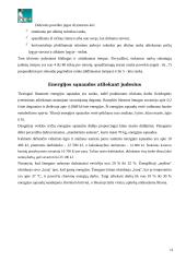 Operatoriaus darbinių judesių analizė 11 puslapis