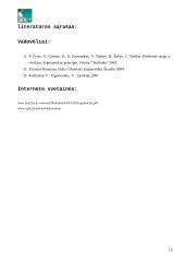 Operatoriaus darbinių judesių analizė 13 puslapis