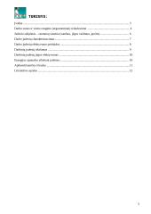 Operatoriaus darbinių judesių analizė 3 puslapis