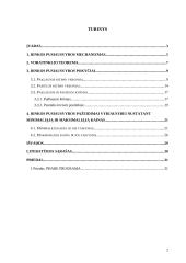 Rinkos pusiausvyros mechanizmas 2 puslapis