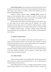 Rinkos pusiausvyros mechanizmas 17 puslapis