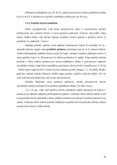 Rinkos pusiausvyros mechanizmas 19 puslapis