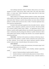 Rinkos pusiausvyros mechanizmas 3 puslapis