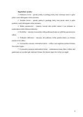 Rinkos pusiausvyros mechanizmas 4 puslapis