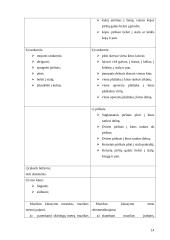 Ritmavimo užduočių analizė pradinių klasių muzikos vadovėliuose 12 puslapis