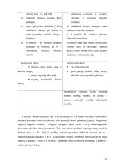 Ritmavimo užduočių analizė pradinių klasių muzikos vadovėliuose 13 puslapis