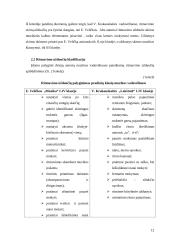 Ritmavimo užduočių analizė pradinių klasių muzikos vadovėliuose 10 puslapis