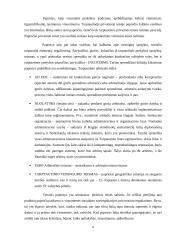 Papročio įtaka ir vaidmuo tarptautinėje sutarčių teisėje 6 puslapis