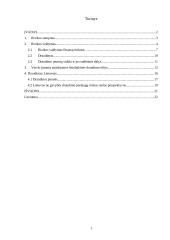 Rizikos valdymas ir verslo draudimas 2 puslapis