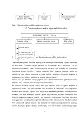 Rizikos valdymas ir verslo draudimas 12 puslapis