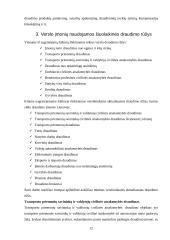 Rizikos valdymas ir verslo draudimas 13 puslapis