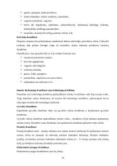 Rizikos valdymas ir verslo draudimas 15 puslapis