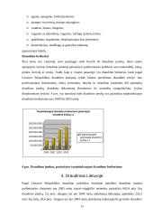 Rizikos valdymas ir verslo draudimas 16 puslapis