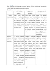 Rizikos valdymas ir verslo draudimas 18 puslapis