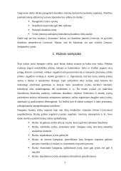 Rizikos valdymas ir verslo draudimas 4 puslapis