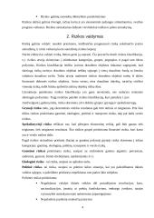 Rizikos valdymas ir verslo draudimas 5 puslapis