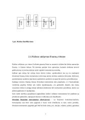 Rizikos valdymas ir verslo draudimas 8 puslapis