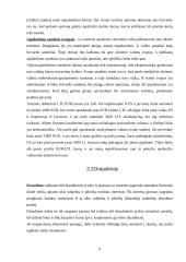 Rizikos valdymas ir verslo draudimas 10 puslapis