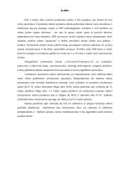 Robototechnikos kursinis projektas 2 puslapis