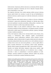 Postmoderni pragmatinė edukologija: teorinės prielaidos ir modeliai 10 puslapis