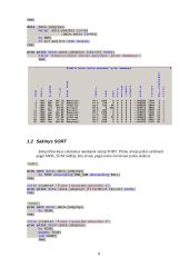 SAS sistema. Mokėjimų už elektrą, atsižvelgiant į oro temperatūros kitimus, šeimos narių skaičių ir kitus papildomus duomenis 4 puslapis