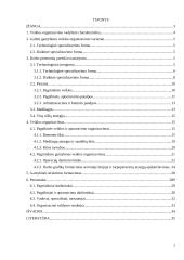 Gamybinio padalinio organizavimas 2 puslapis