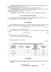 Gamybinio padalinio organizavimas 13 puslapis