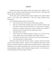 Gamybinio padalinio organizavimas 3 puslapis