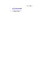 Savanorystė socialiniame darbe 14 puslapis