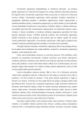 Savanorystė socialiniame darbe 4 puslapis