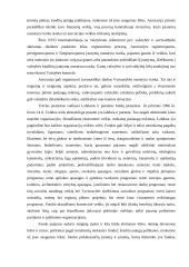 Savanorystė socialiniame darbe 5 puslapis