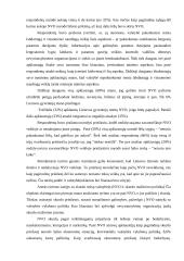 Savanorystė socialiniame darbe 8 puslapis