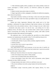 Savanorystė socialiniame darbe 10 puslapis