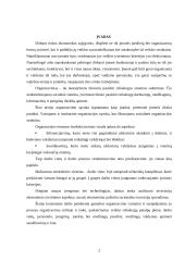 Gamybinio padalinio veiklos organizavimas 2 puslapis