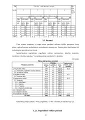Gamybinio padalinio veiklos organizavimas 12 puslapis
