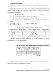 Gamybinio padalinio veiklos organizavimas 13 puslapis