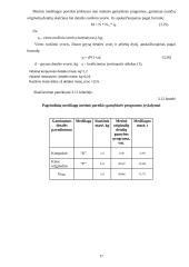 Gamybinio padalinio veiklos organizavimas 17 puslapis