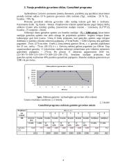 Gamybinio padalinio veiklos organizavimas 4 puslapis