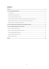 Savivaldybių biudžeto sandaros analizė bei savivaldybių įmonės 2 puslapis