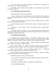 Savivaldybių biudžeto sandaros analizė bei savivaldybių įmonės 11 puslapis