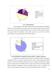 Senyvo amžiaus žmonių socializacija: Užimtumo problemos ir jų sprendimo būdai 14 puslapis