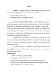 Senyvo amžiaus žmonių socializacija: Užimtumo problemos ir jų sprendimo būdai 3 puslapis