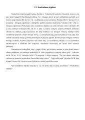 Prekyba žmonėmis pagal Lietuvos ir užsienio valstybių įstatymus 13 puslapis