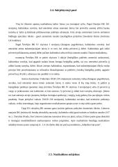 Prekyba žmonėmis pagal Lietuvos ir užsienio valstybių įstatymus 17 puslapis